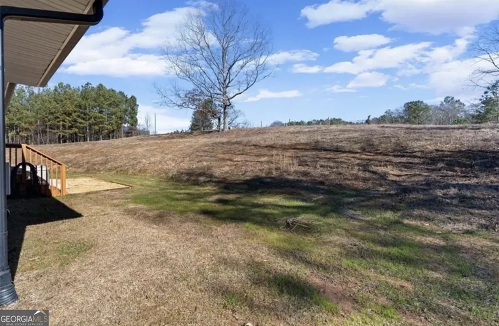 80 Hand RD Bowdon, GA 30108