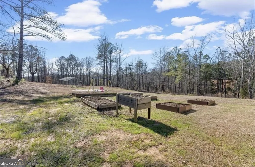 80 Hand RD Bowdon, GA 30108