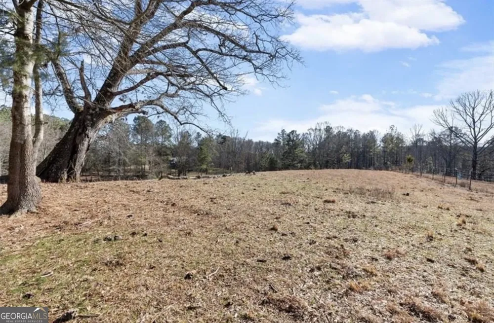 80 Hand RD Bowdon, GA 30108