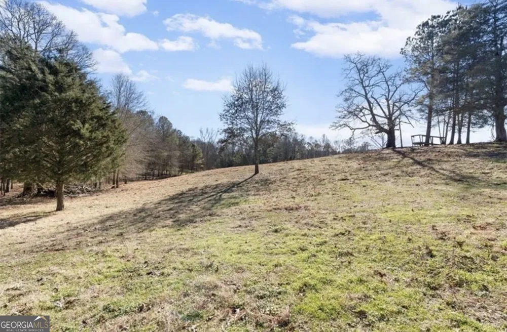 80 Hand RD Bowdon, GA 30108