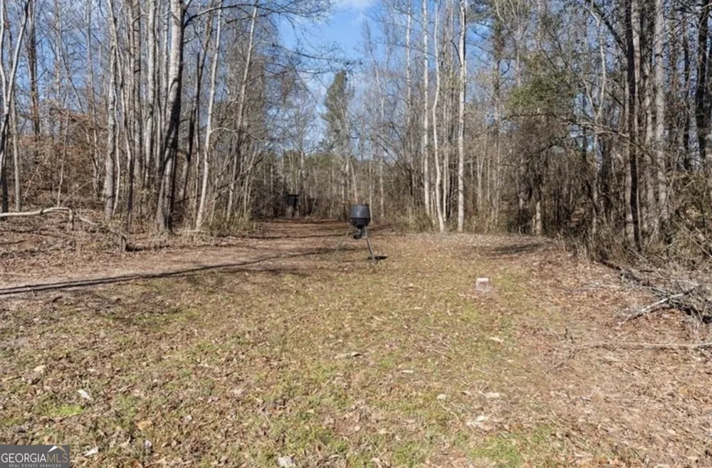 80 Hand RD Bowdon, GA 30108