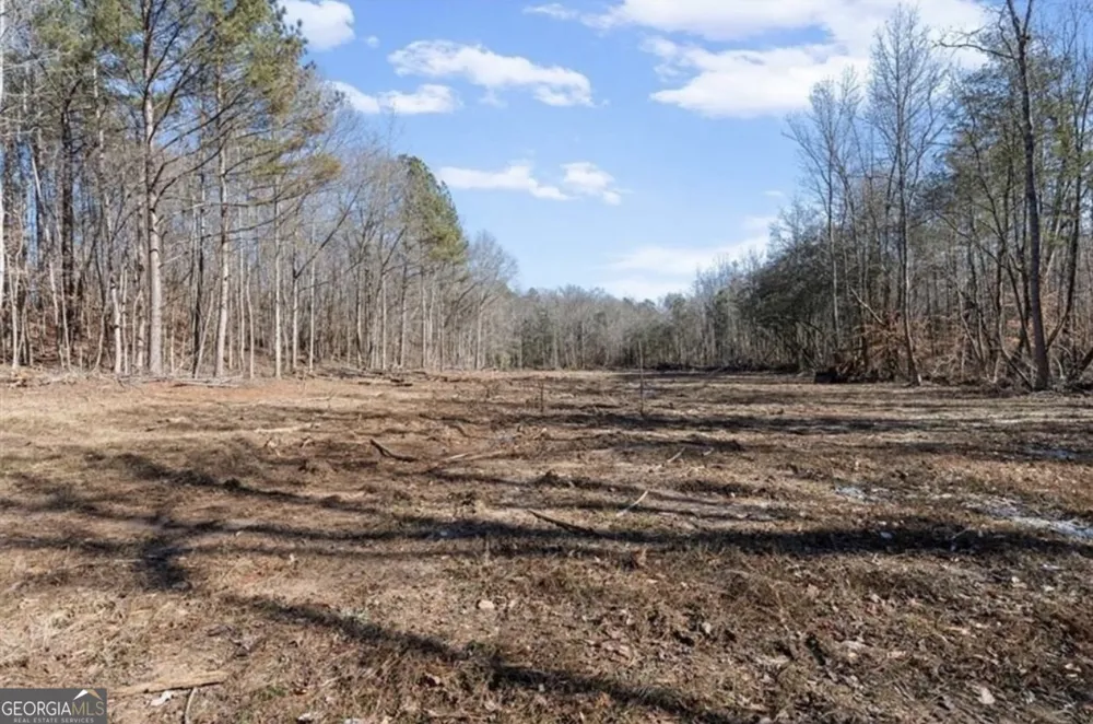 80 Hand RD Bowdon, GA 30108
