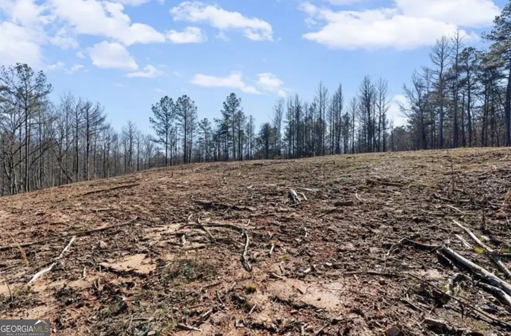 80 Hand RD Bowdon, GA 30108