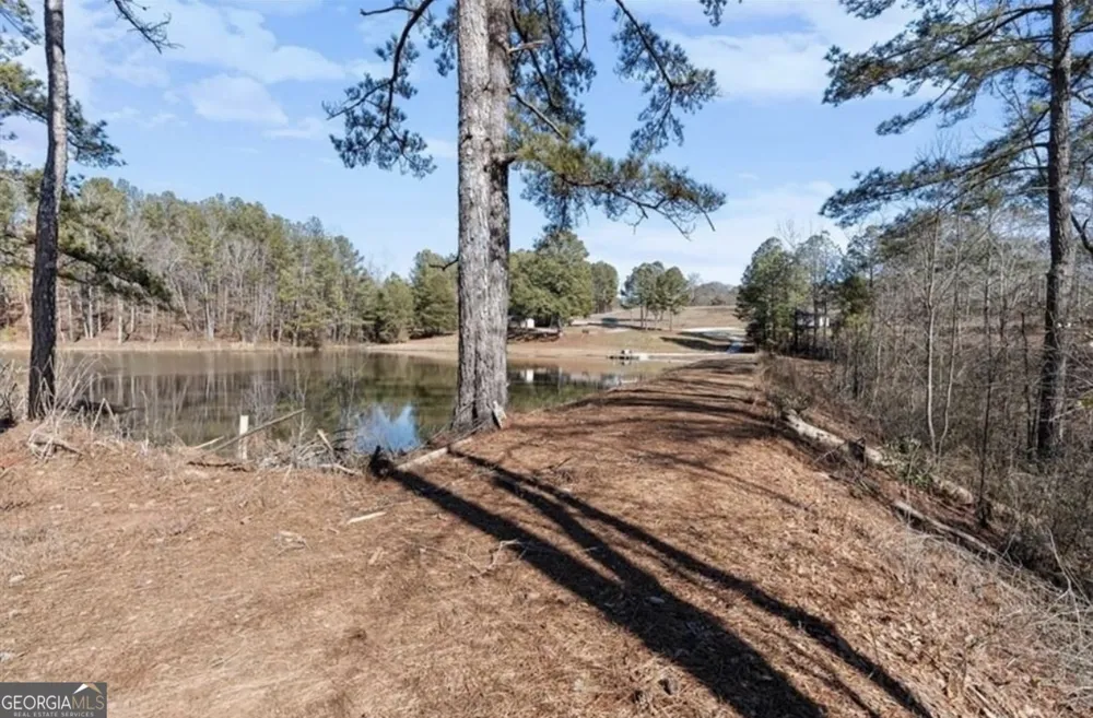 80 Hand RD Bowdon, GA 30108