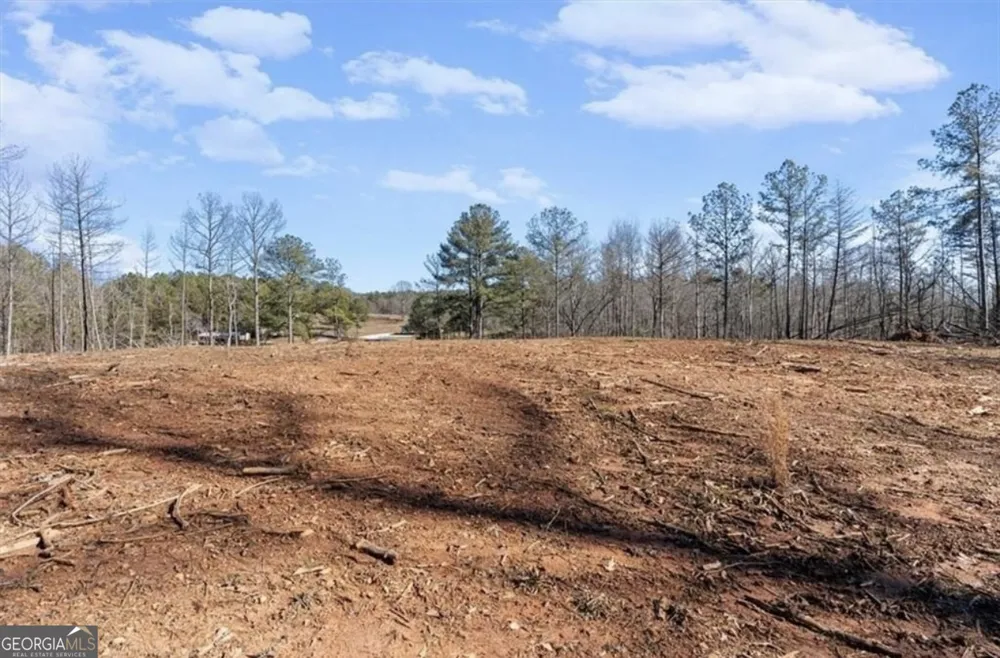80 Hand RD Bowdon, GA 30108