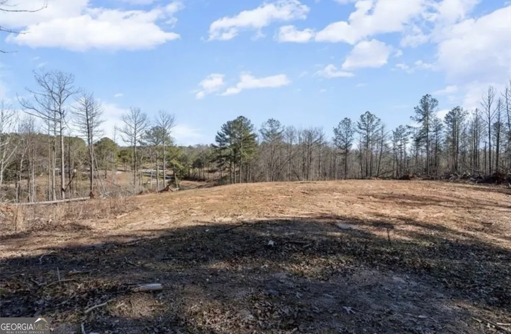 80 Hand RD Bowdon, GA 30108