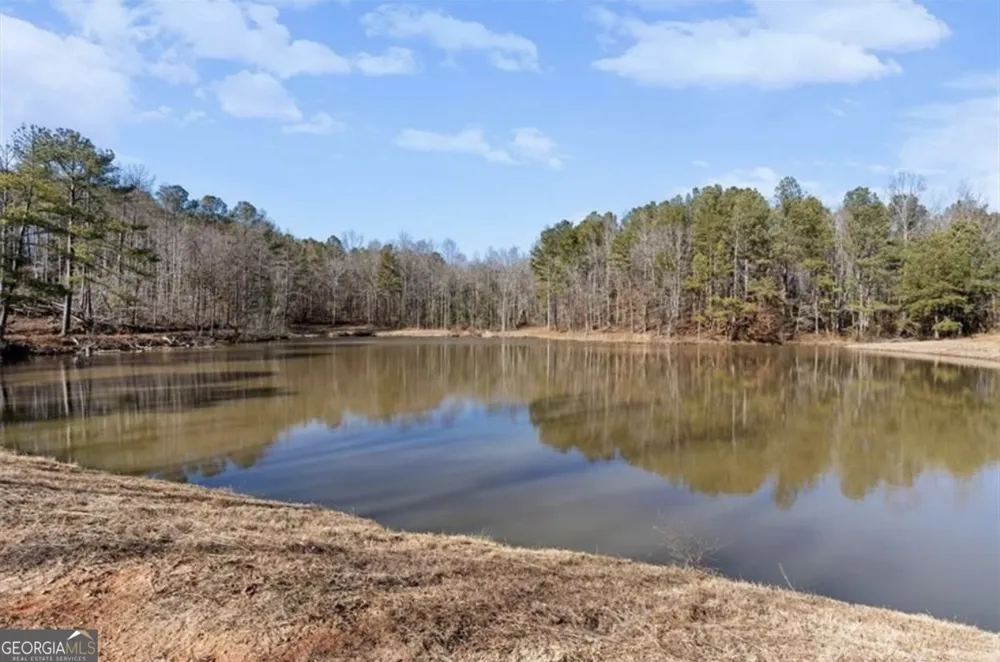 80 Hand RD Bowdon, GA 30108