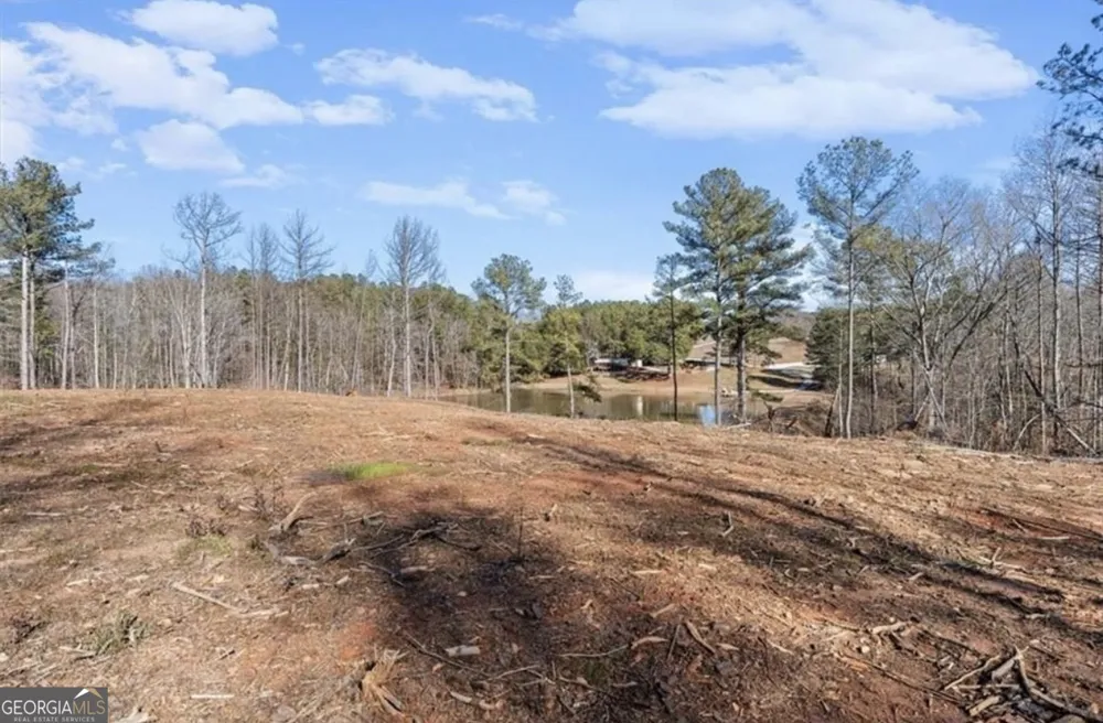 80 Hand RD Bowdon, GA 30108