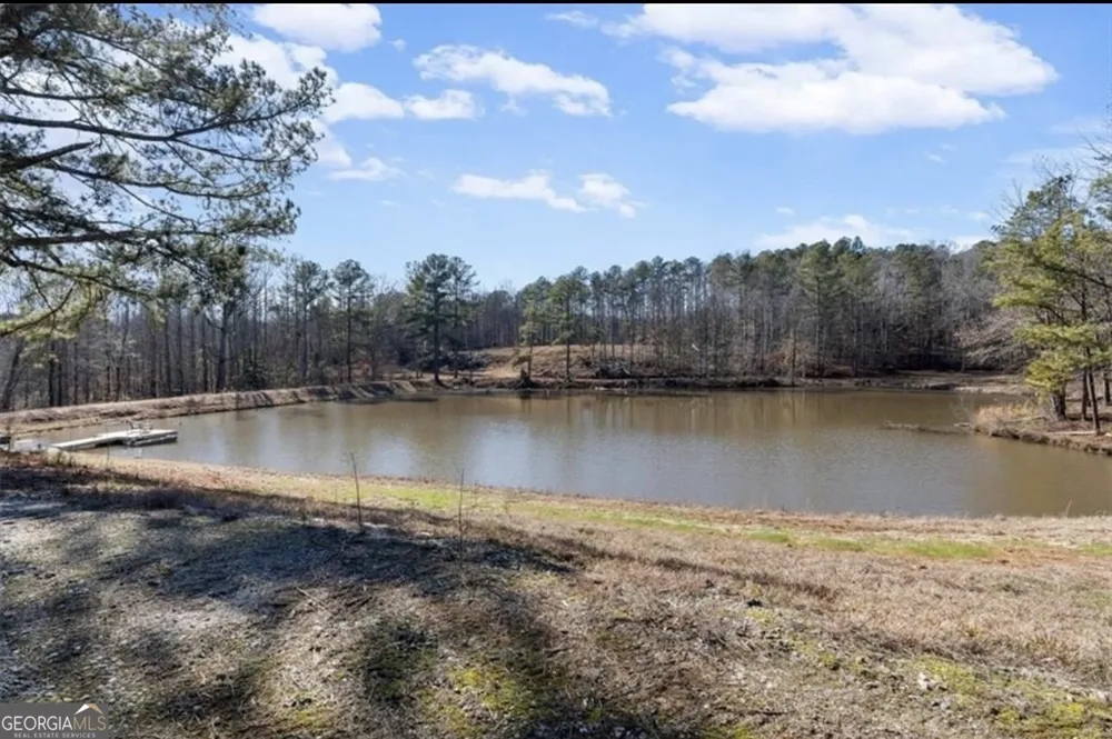 80 Hand RD Bowdon, GA 30108