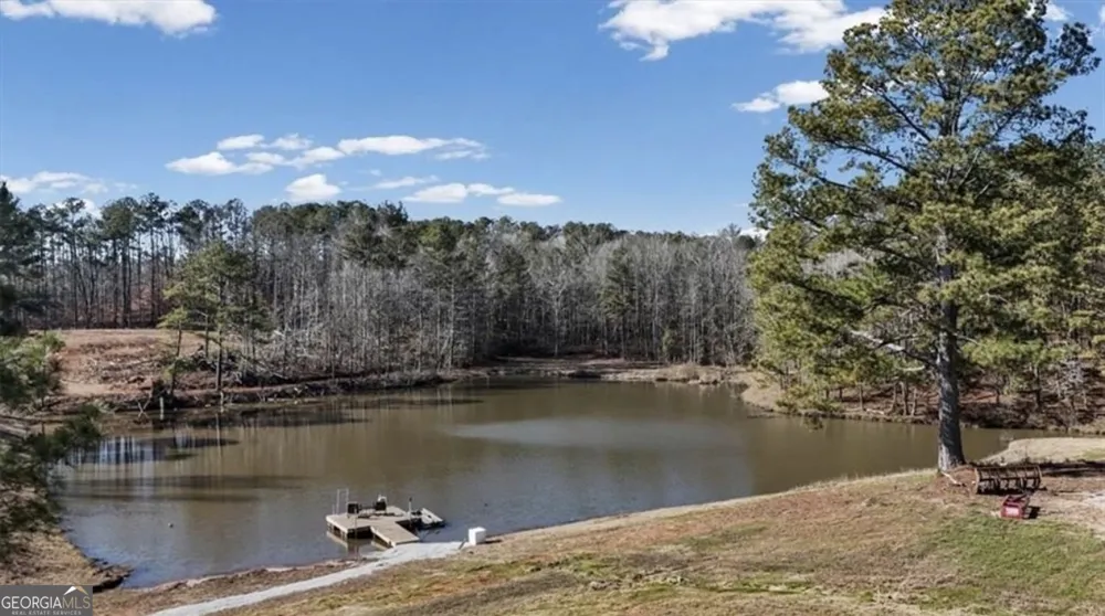 80 Hand RD Bowdon, GA 30108