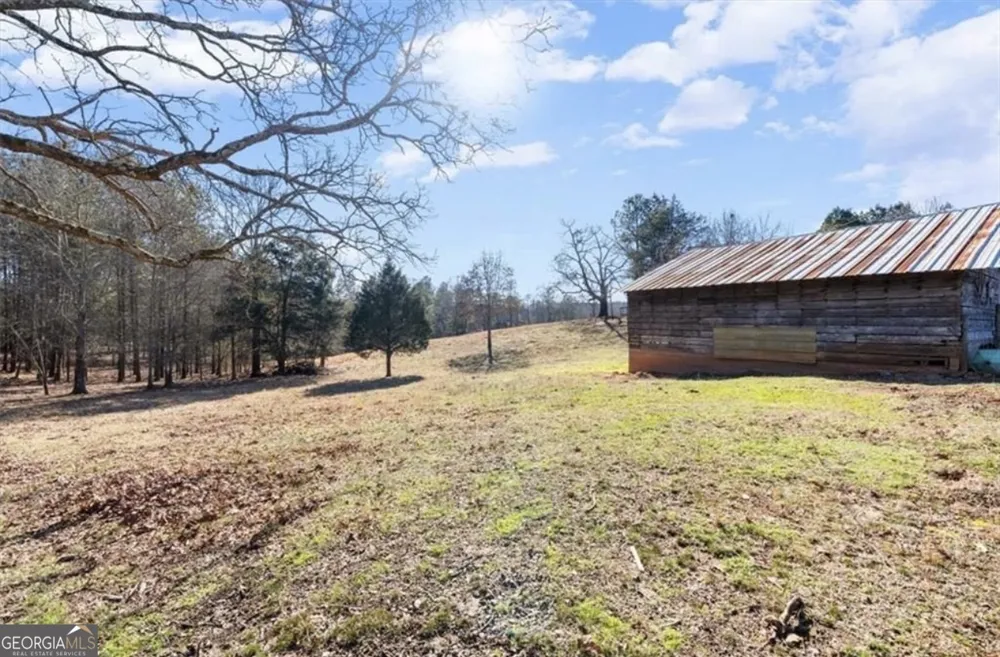 80 Hand RD Bowdon, GA 30108