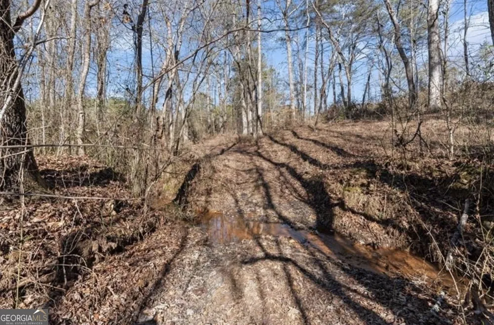 80 Hand RD Bowdon, GA 30108