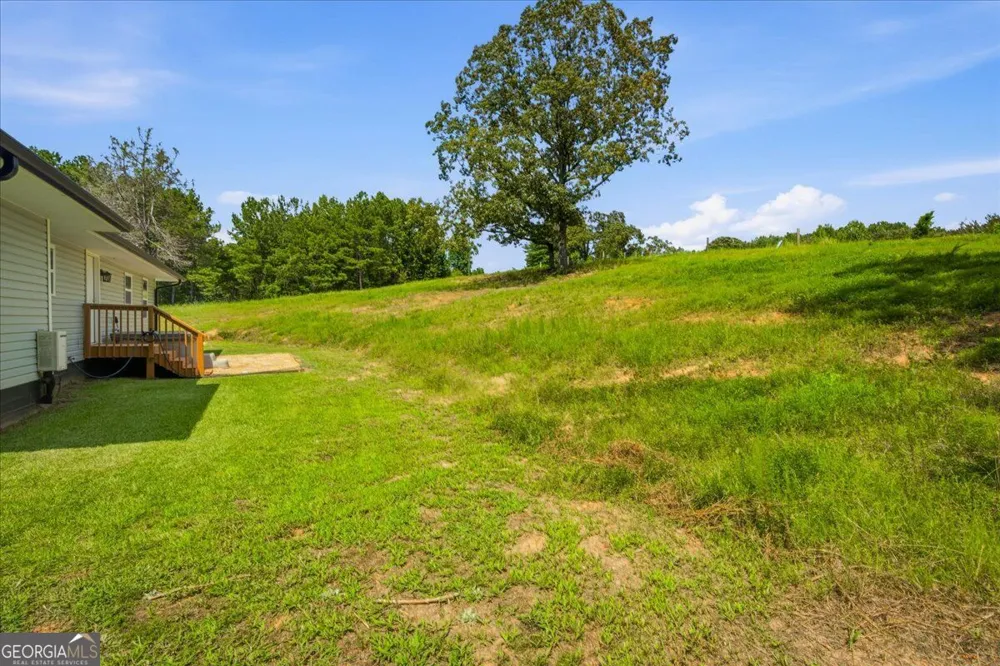 80 Hand RD Bowdon, GA 30108