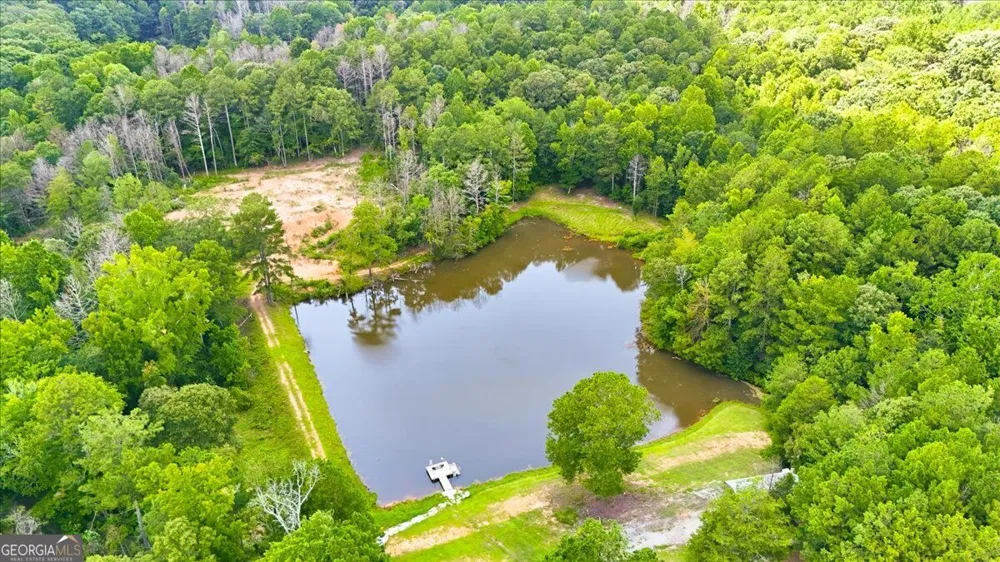 80 Hand RD Bowdon, GA 30108