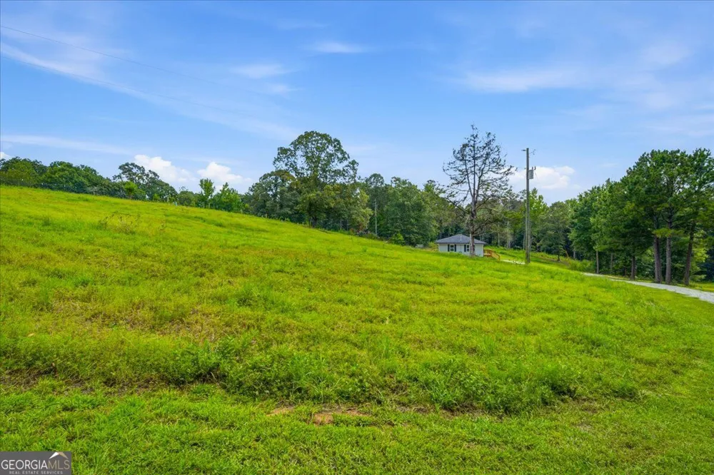 80 Hand RD Bowdon, GA 30108