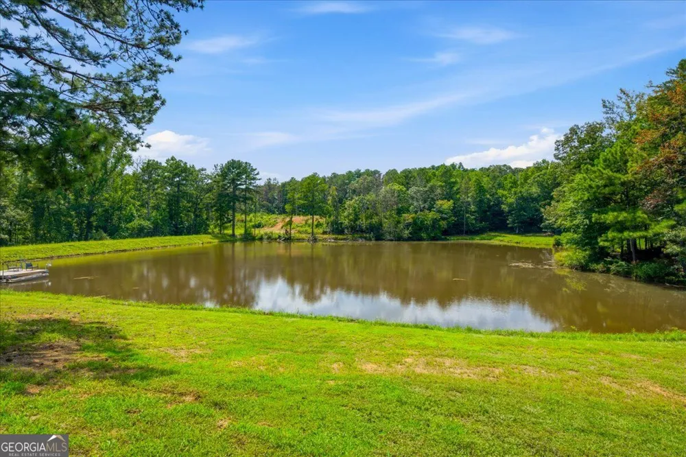 80 Hand RD Bowdon, GA 30108
