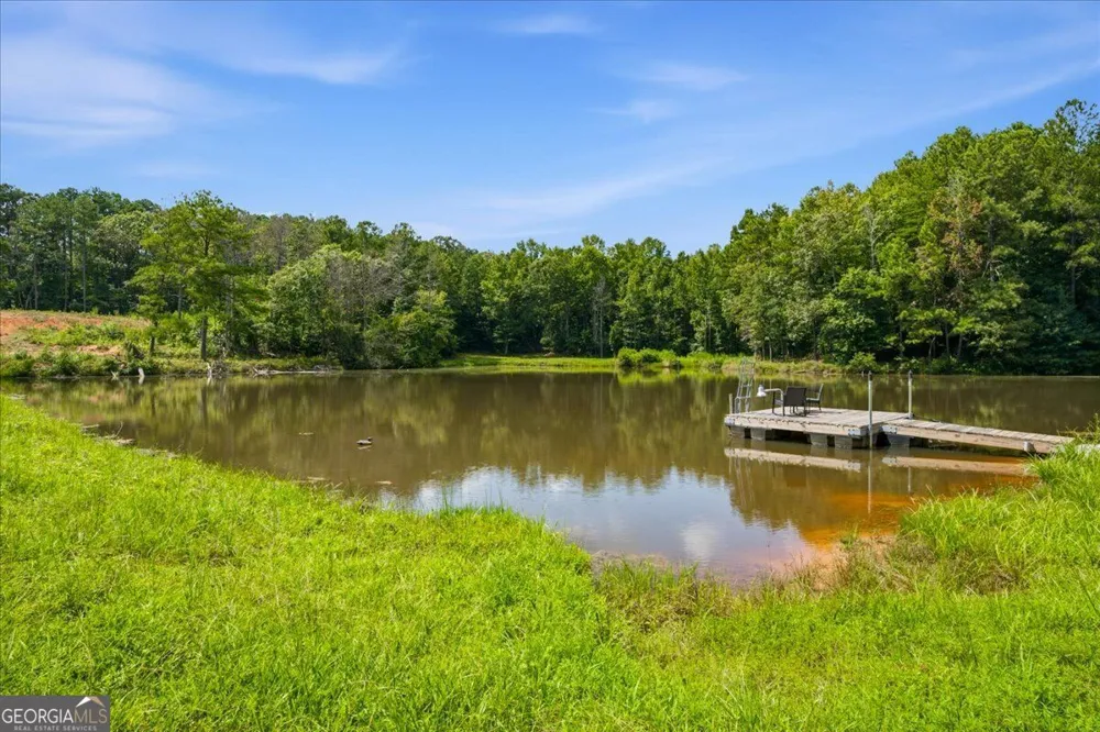 80 Hand RD Bowdon, GA 30108