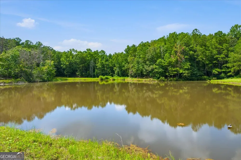 80 Hand RD Bowdon, GA 30108
