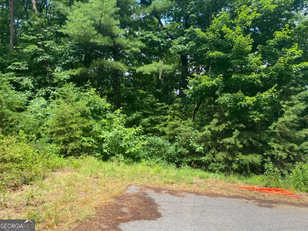 0 Sunrise RDG Blairsville, GA 30512