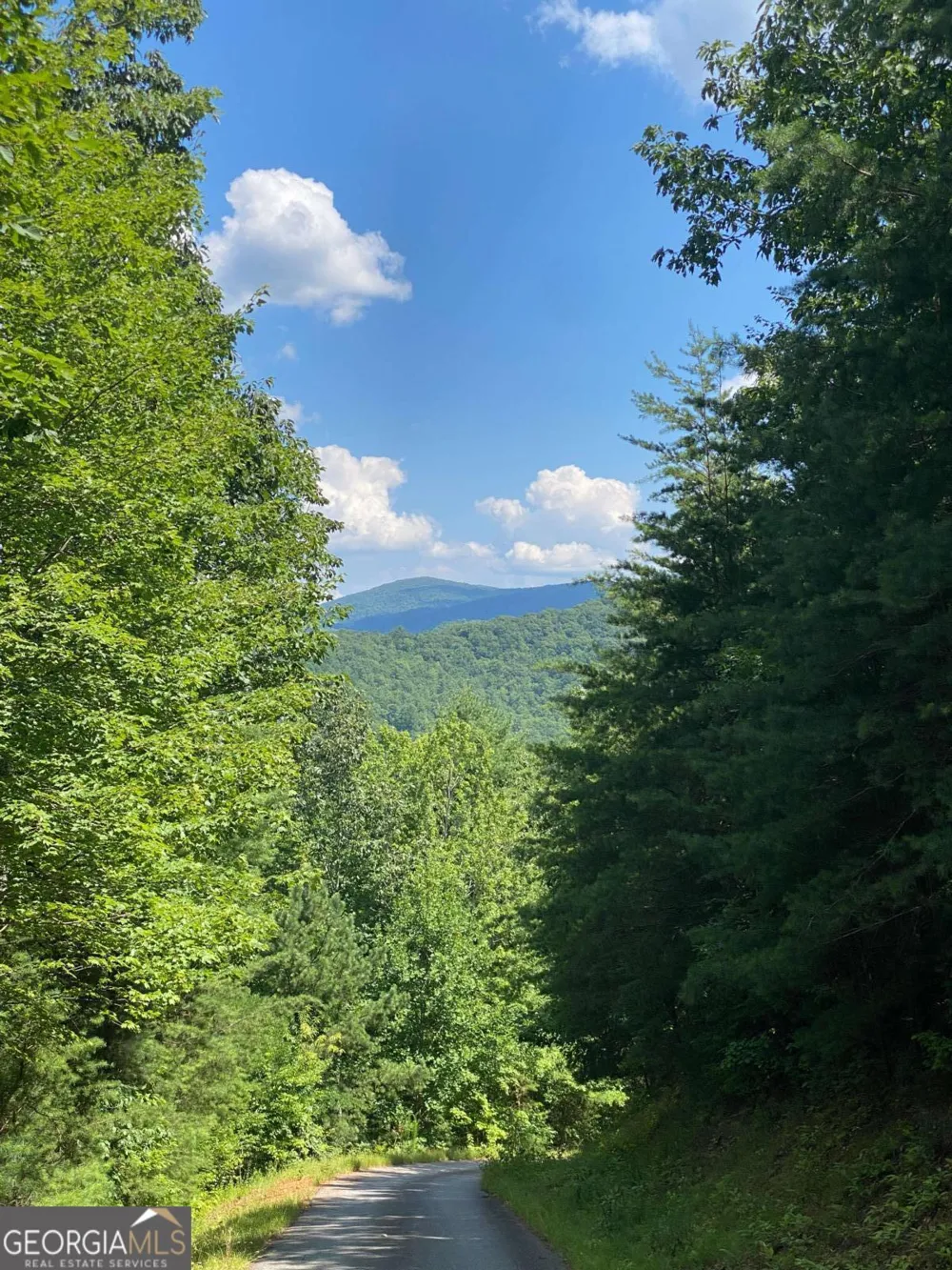 0 Sunrise RDG Blairsville, GA 30512