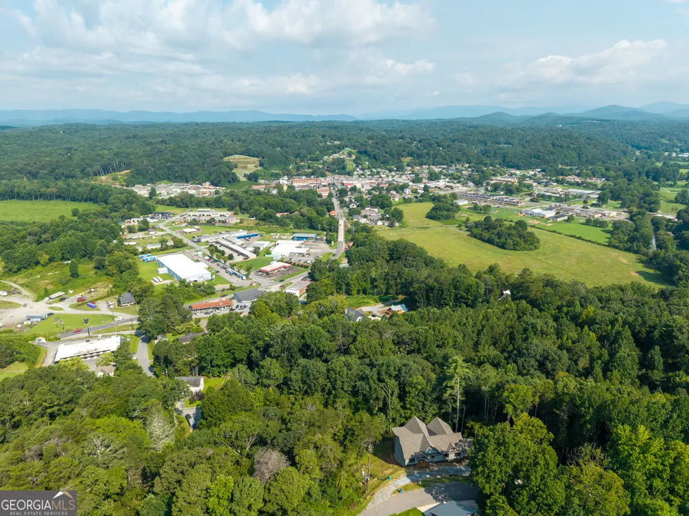 313 Jeff DR Ellijay, GA 30540