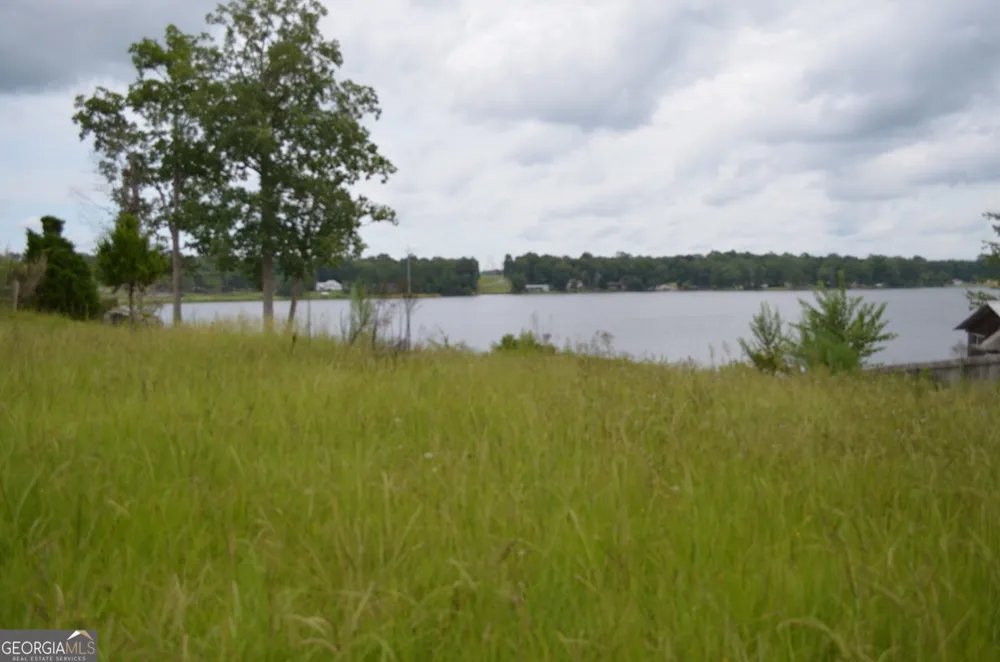 145 Lakeview DR S Ivey, GA 31031