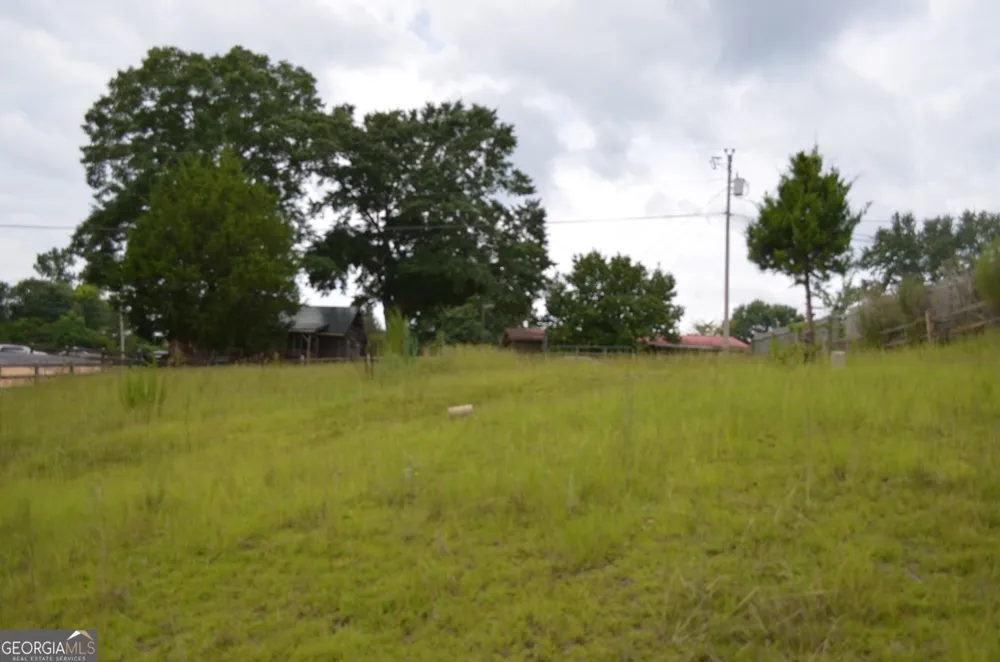 145 Lakeview DR S Ivey, GA 31031