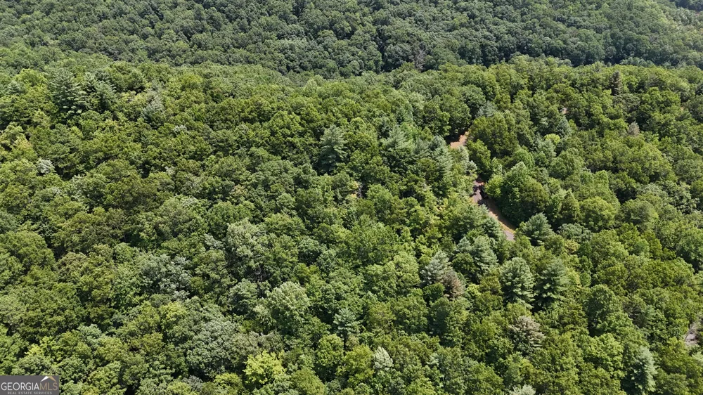 0 Whisper Ridge CT Hiawassee, GA 30546