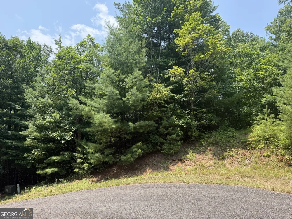 0 Whisper Ridge CT Hiawassee, GA 30546
