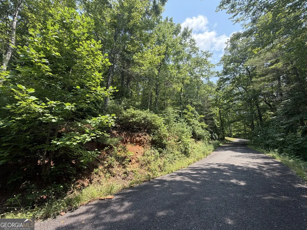 0 Whisper Ridge CT Hiawassee, GA 30546