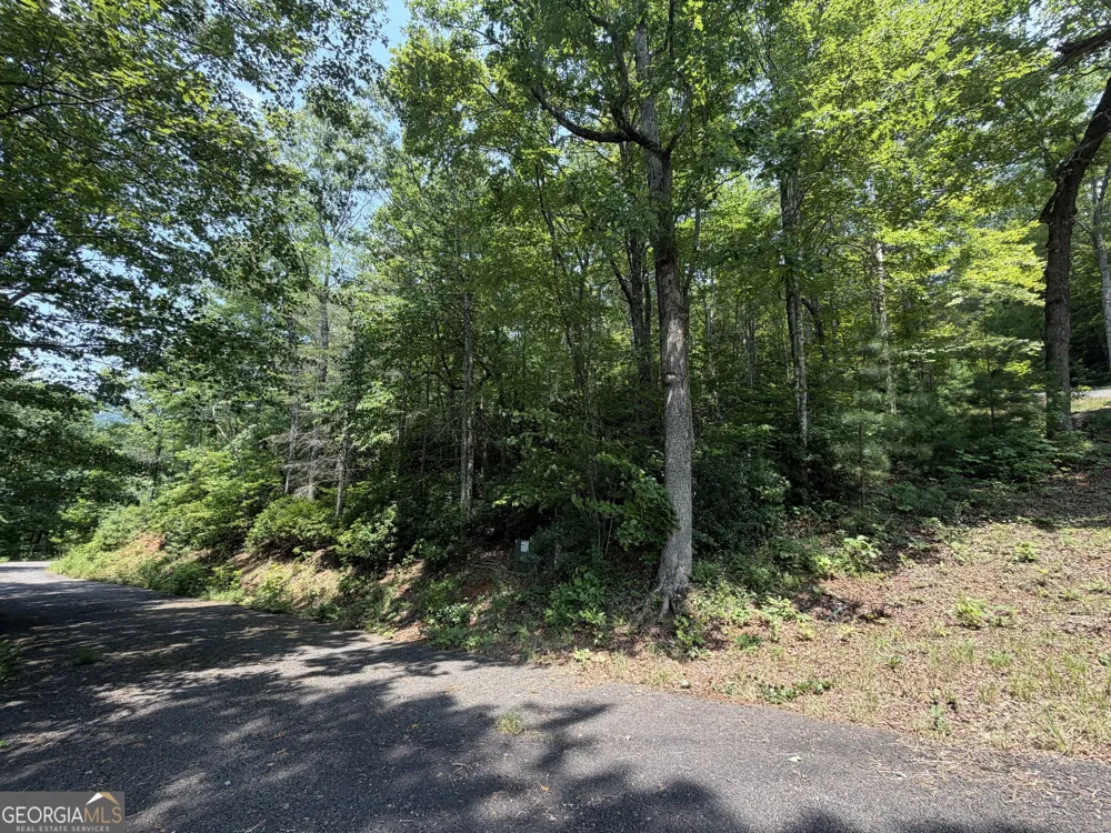 0 Whisper Ridge CT Hiawassee, GA 30546