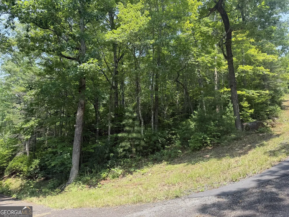 0 Whisper Ridge CT Hiawassee, GA 30546