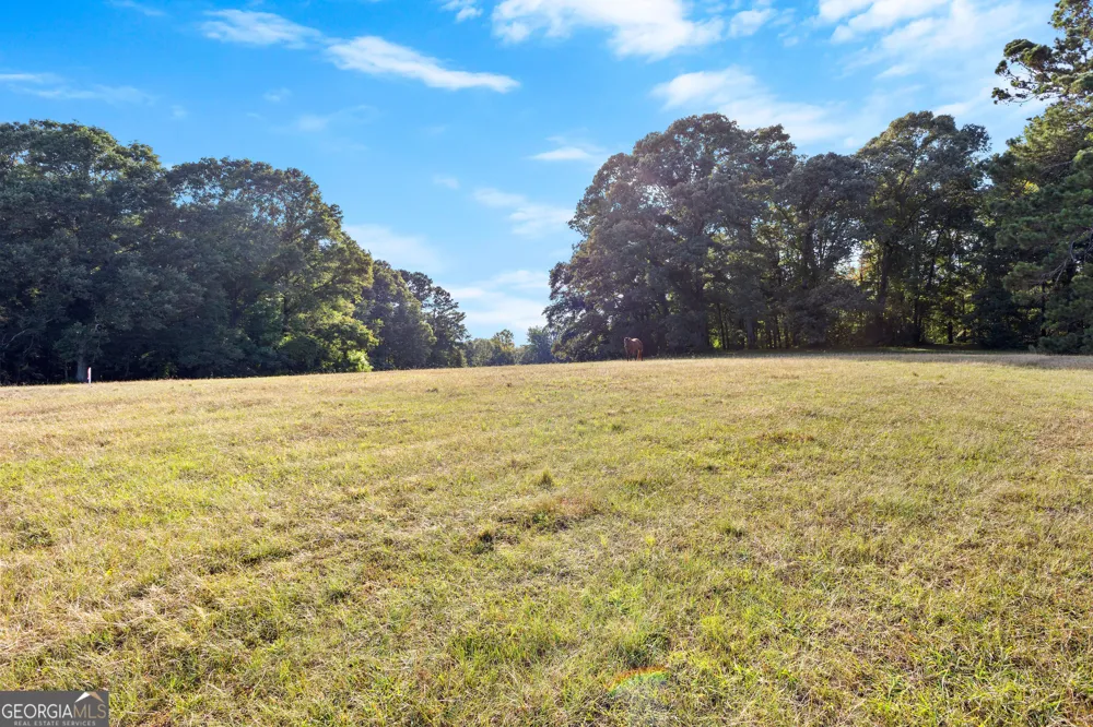 4091 Hollonville RD Williamson, GA 30292