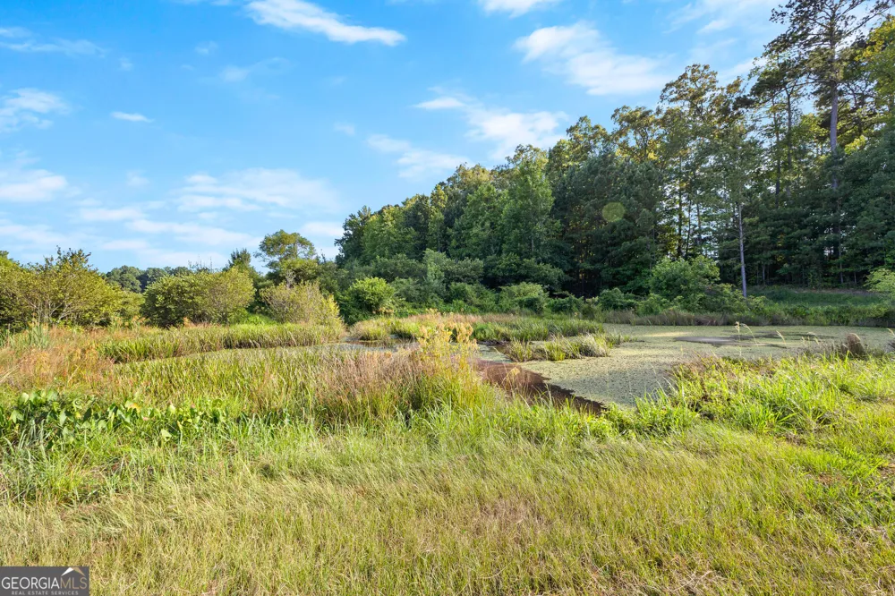 4091 Hollonville RD Williamson, GA 30292