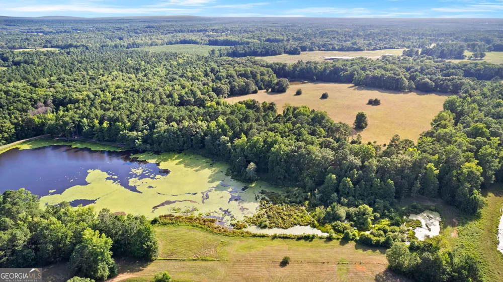 4091 Hollonville RD Williamson, GA 30292