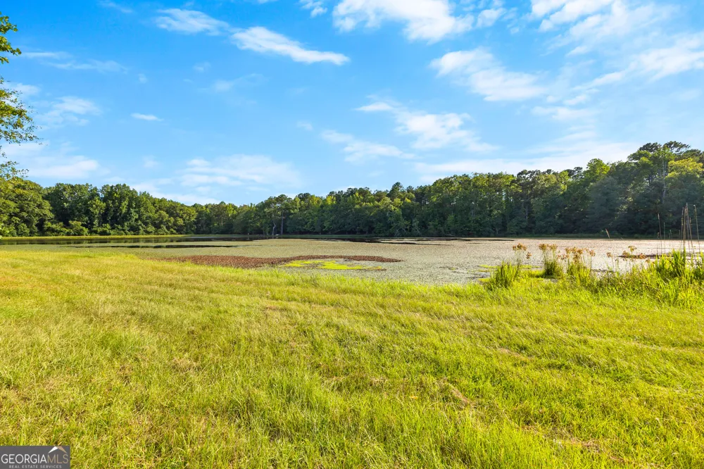4091 Hollonville RD Williamson, GA 30292