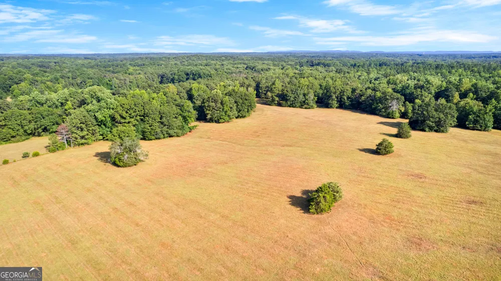 4091 Hollonville RD Williamson, GA 30292