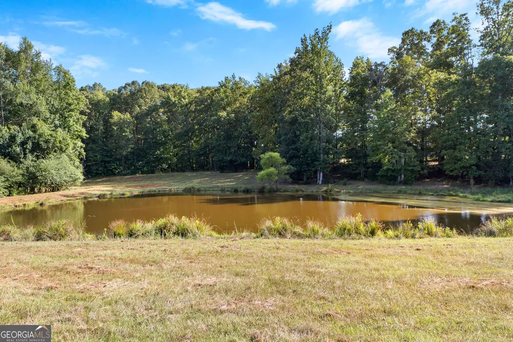 4091 Hollonville RD Williamson, GA 30292