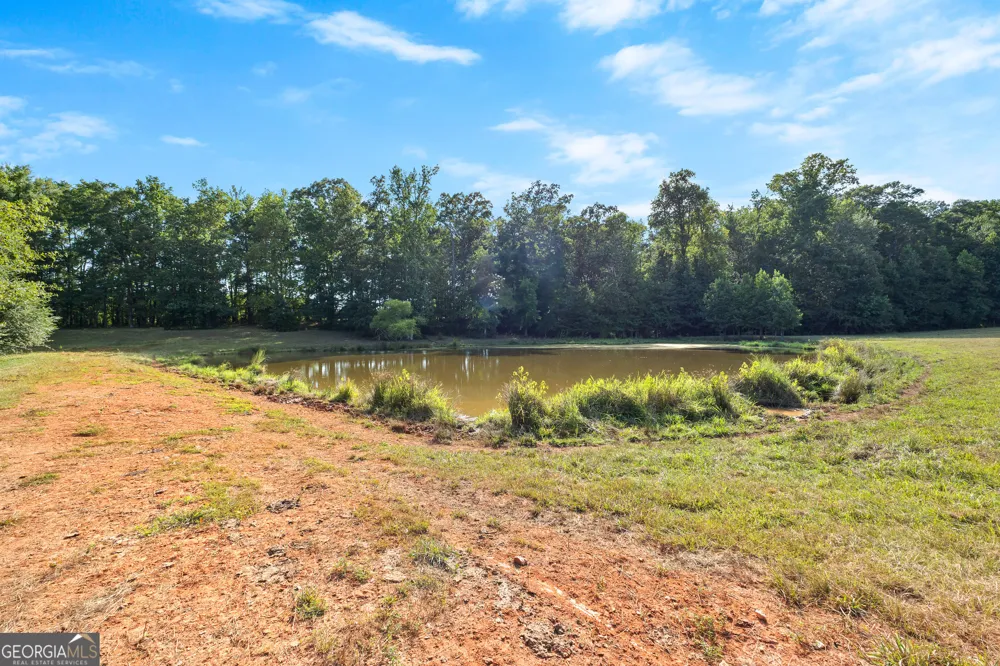 4091 Hollonville RD Williamson, GA 30292