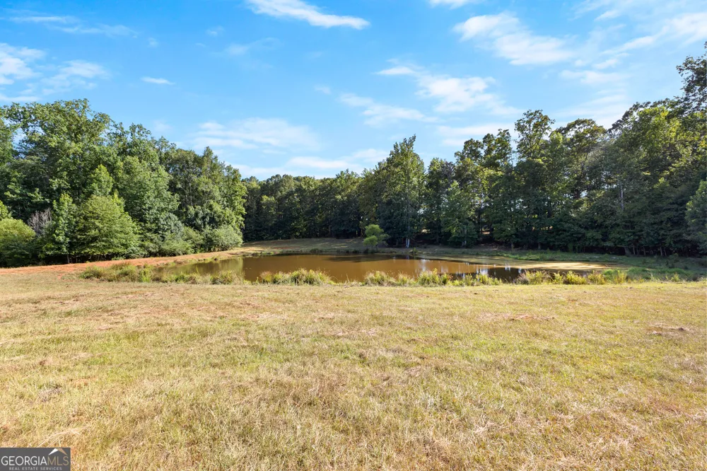 4091 Hollonville RD Williamson, GA 30292
