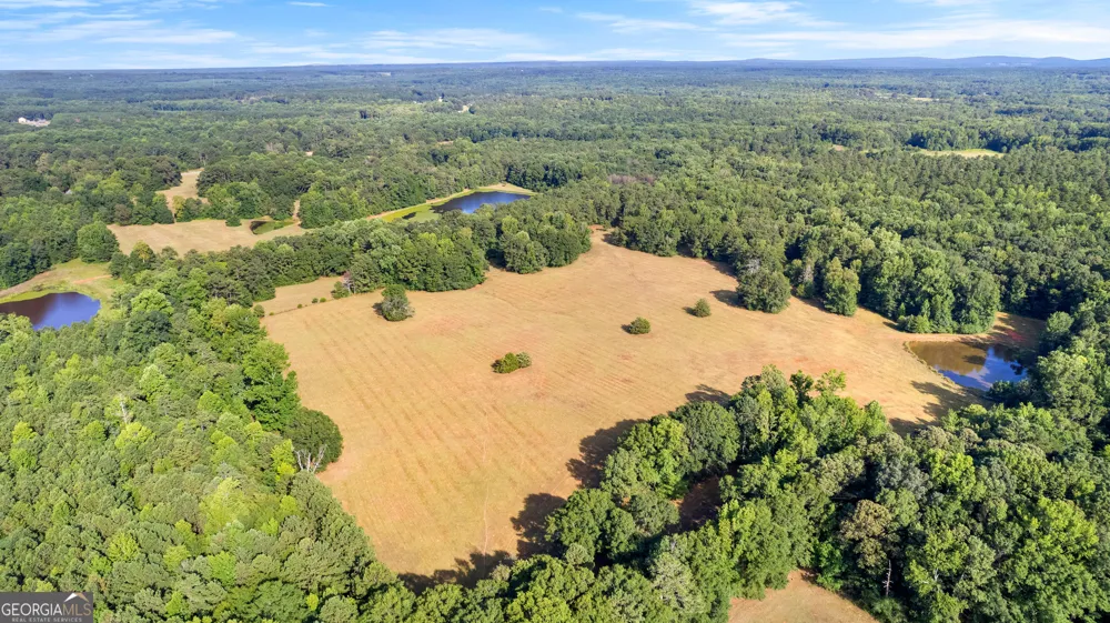 4091 Hollonville RD Williamson, GA 30292