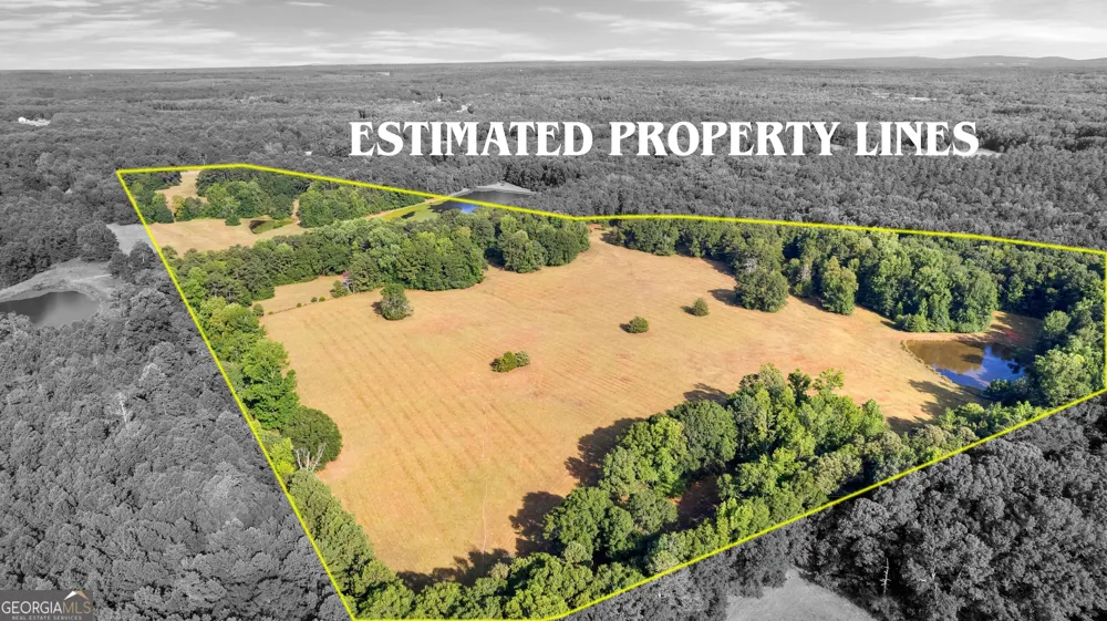 4091 Hollonville RD Williamson, GA 30292