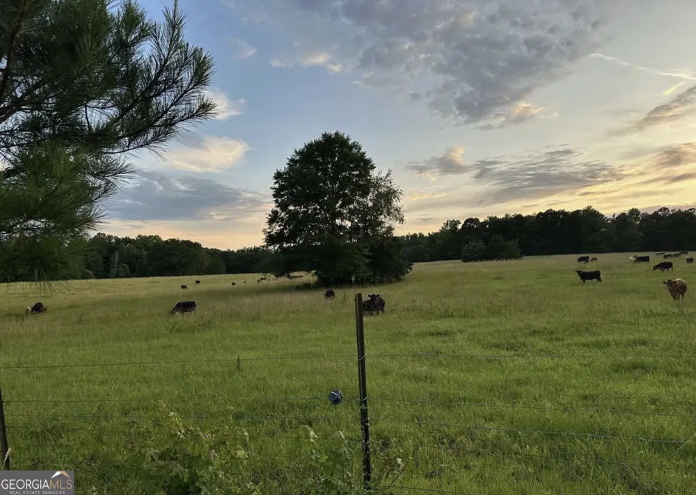 4091 Hollonville RD Williamson, GA 30292