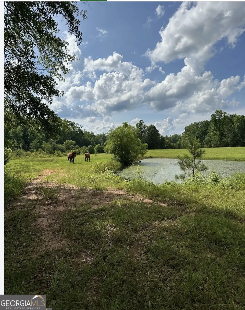 4091 Hollonville RD Williamson, GA 30292