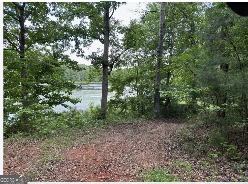 4091 Hollonville RD Williamson, GA 30292