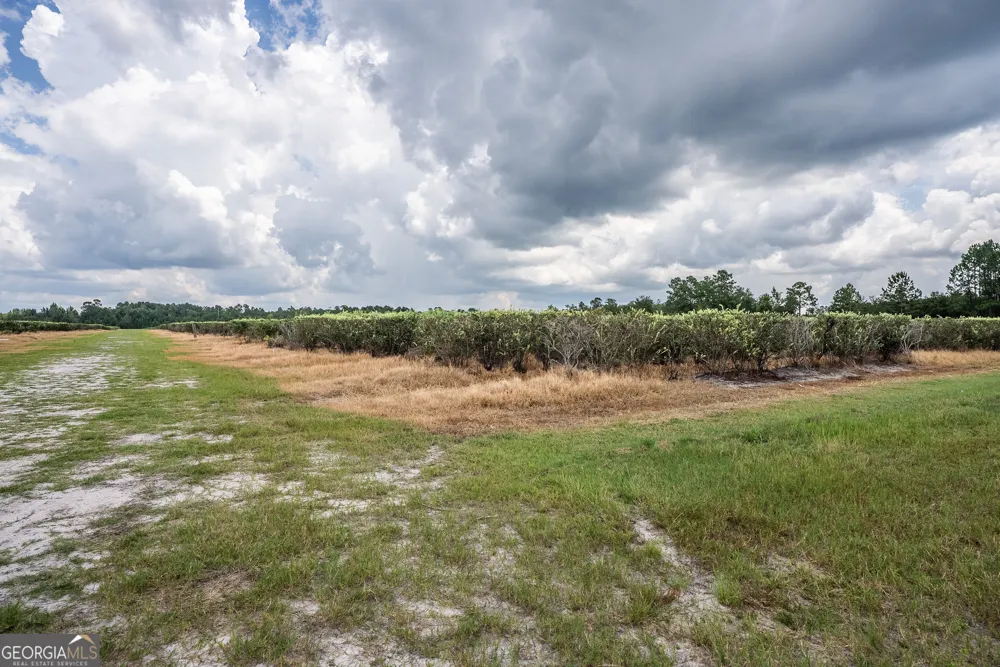 930 Old Surrency RD Baxley, GA 31513