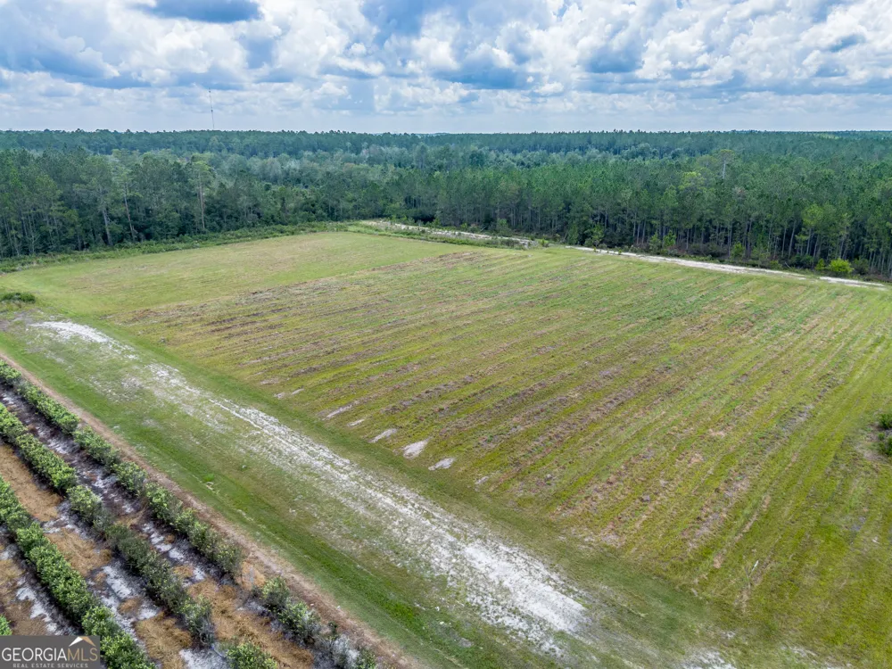 930 Old Surrency RD Baxley, GA 31513