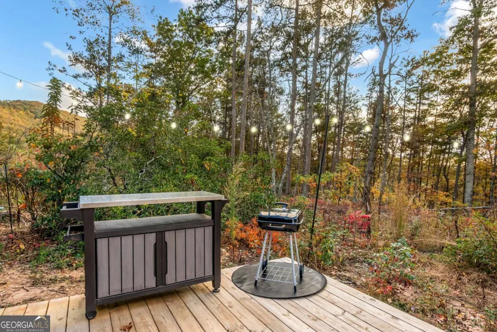 115 Raleigh Ridge DR Blue Ridge, GA 30513