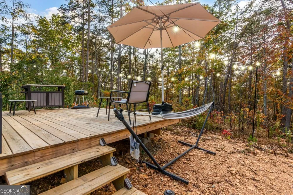 115 Raleigh Ridge DR Blue Ridge, GA 30513