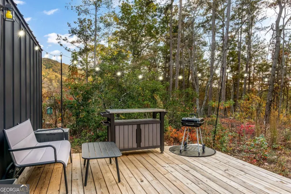 115 Raleigh Ridge DR Blue Ridge, GA 30513